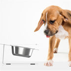 Hlopaw Anti-Falling Cat Dog Feeding Water Bowl – Non-Slip, Tilted Pet Bowl for Easy Eating & Drinking