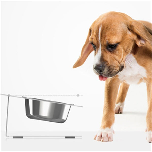 Hlopaw Anti-Falling Cat Dog Feeding Water Bowl – Non-Slip, Tilted Pet Bowl for Easy Eating & Drinking