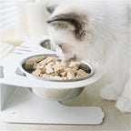 Hlopaw Anti-Falling Cat Dog Feeding Water Bowl – Non-Slip, Tilted Pet Bowl for Easy Eating & Drinking