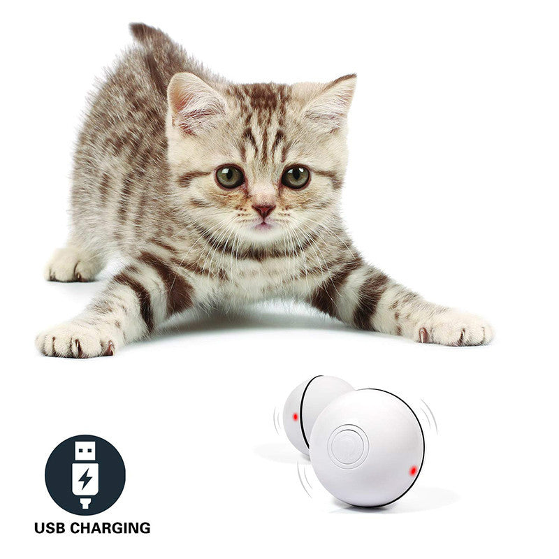 Hlopaw LED Laser Rolling Cat Toy – Smart Electronic Ball with Feathers, Catnip & USB Rechargeable Design