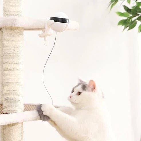 Hlopaw Interactive Electronic Cat Toy – Motion Automatic Ball Toy for Indoor Cats, Smart Pet Play Accessory