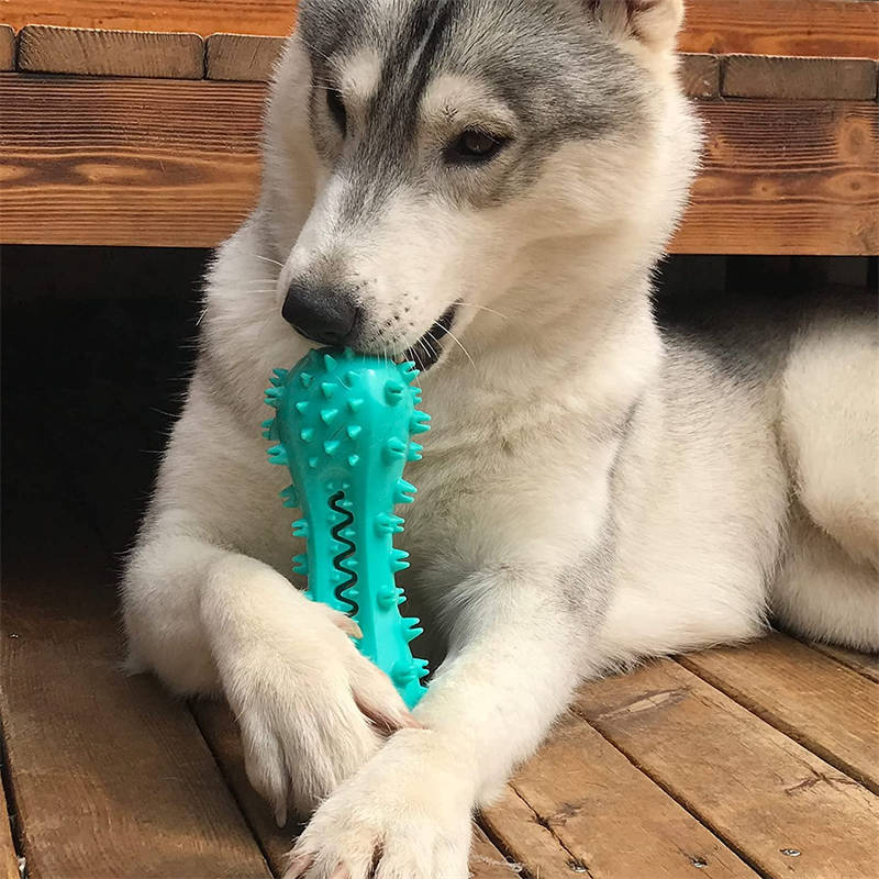 Hlopaw Dog Cleaning Chew Toy – Rubber Molar Stick for Aggressive Dogs, Teeth Cleaning & Oral Care Toy